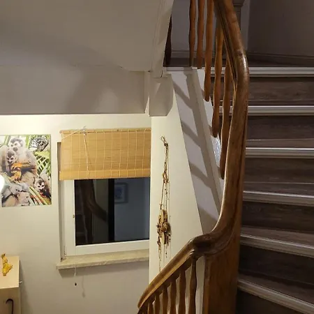Apartment Ferienwohnung Halberstadt Halberstadt